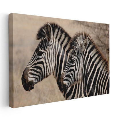 Çizgili İkili - Yan Yana Zebra Portresi Kanvas Tablo