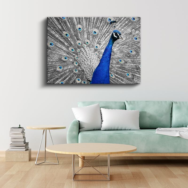 Mavi İhtişam - Tüylerini Açan Tavus Kuşu Kanvas Tablo