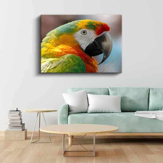 Renkli Papağan - Yakın Çekim Ara Portresi Kanvas Tablo