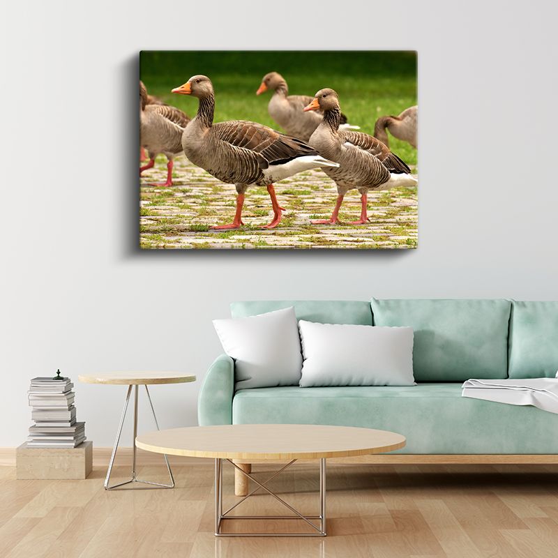 Kaz Yürüyüşü - Taş Zeminde İlerleyen Sürü Kanvas Tablo