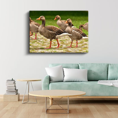 Kaz Yürüyüşü - Taş Zeminde İlerleyen Sürü Kanvas Tablo