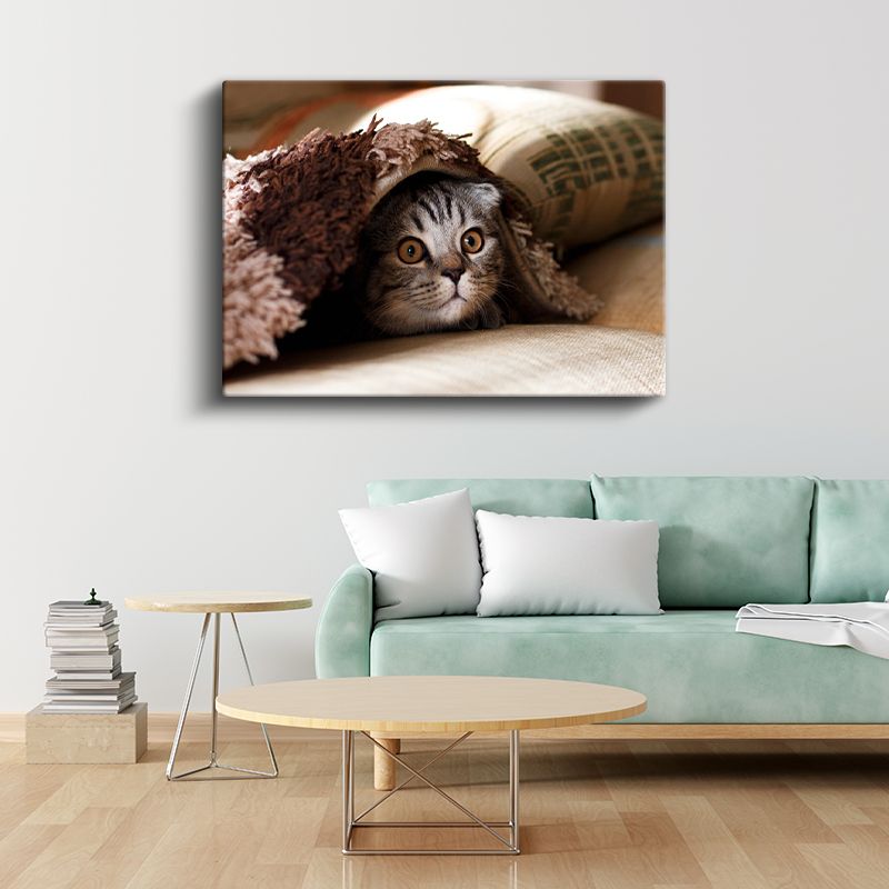 Meraklı Bakış - Battaniye Altındaki Kedi Yavrusu Kanvas Tablo