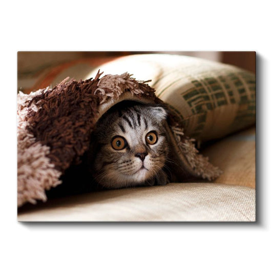 Meraklı Bakış - Battaniye Altındaki Kedi Yavrusu Kanvas Tablo