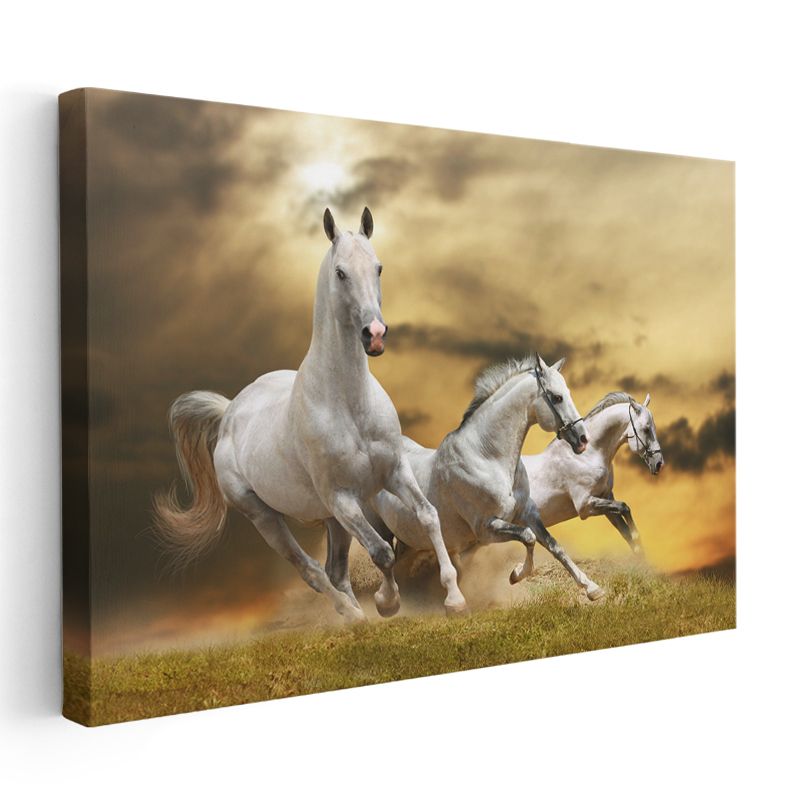Beyaz Üçlü - Çayırda Koşan Arap Atları Kanvas Tablo