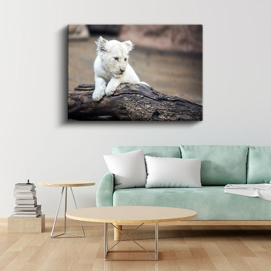 Beyaz Aslan Yavrusu - Kütük Üzerinde Meraklı Bakış Kanvas Tablo