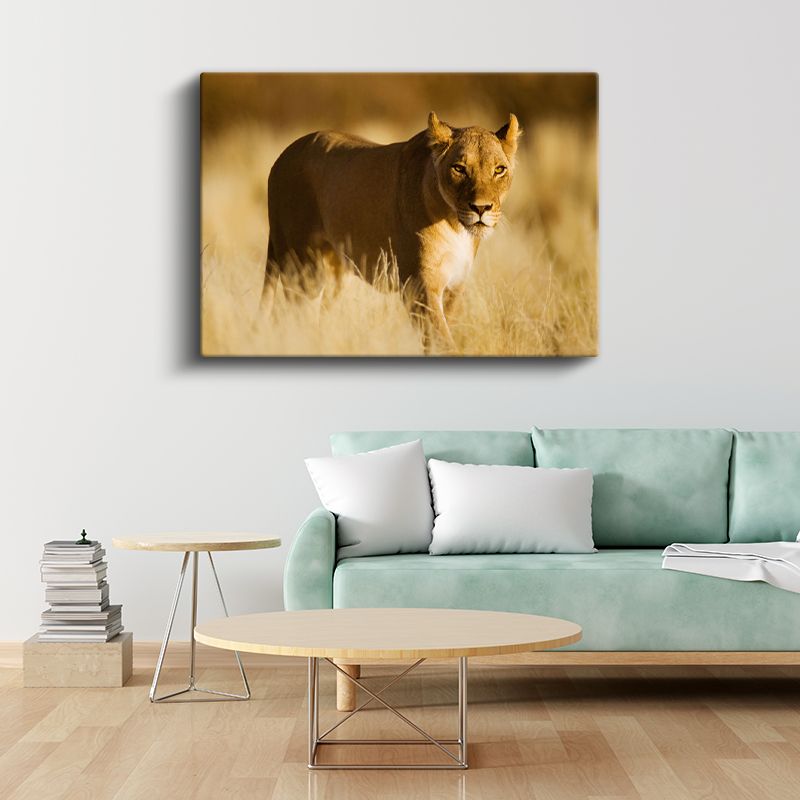 Aslan Kraliçesi - Altın Sarısı Savanada Heybetli Duruş Kanvas Tablo