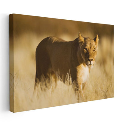 Aslan Kraliçesi - Altın Sarısı Savanada Heybetli Duruş Kanvas Tablo