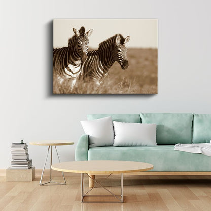 Zebra İkilisi - Sepia Tonlarında Afrika Safarisi Kanvas Tablo