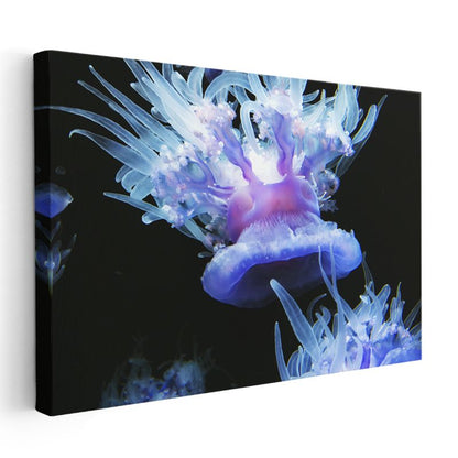 Denizanası Dansı - Derin Maviliklerde Işıltılı Görünüm Kanvas Tablo