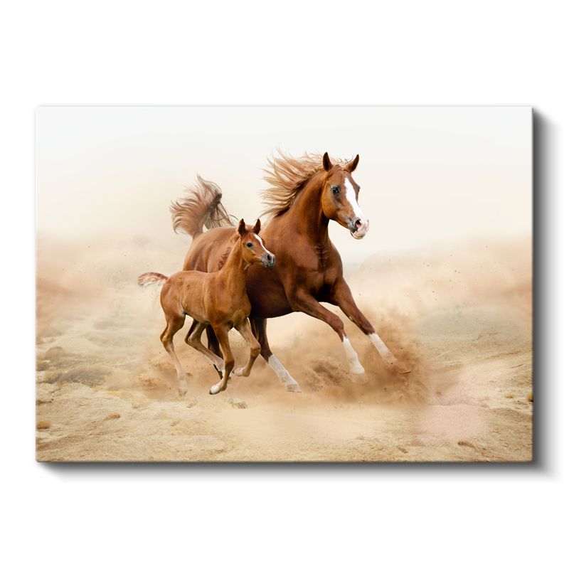 Özgür Atlar - Kumsal Koşusunda Anne ve Yavru Kanvas Tablo