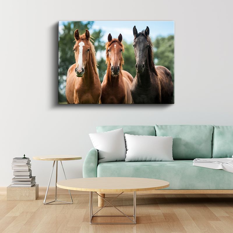 Üç Muhteşem At - Farklı Renklerde Asil Duruş Kanvas Tablo