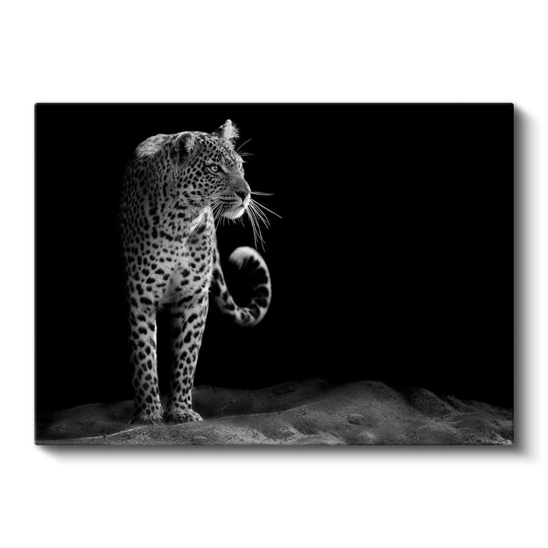 Leopar Silüeti - Siyah Beyaz Dramatik Portre Kanvas Tablo