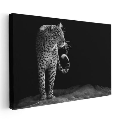 Leopar Silüeti - Siyah Beyaz Dramatik Portre Kanvas Tablo