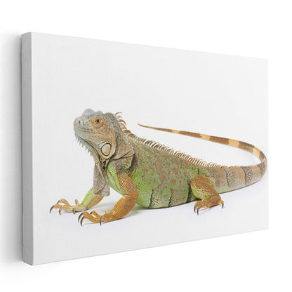 Yeşil İguana - Detaylı Sürüngen Portresi Kanvas Tablo