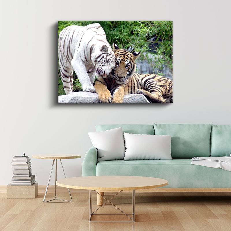 Kaplan Dostluğu - Beyaz ve Turuncu İkili Kanvas Tablo