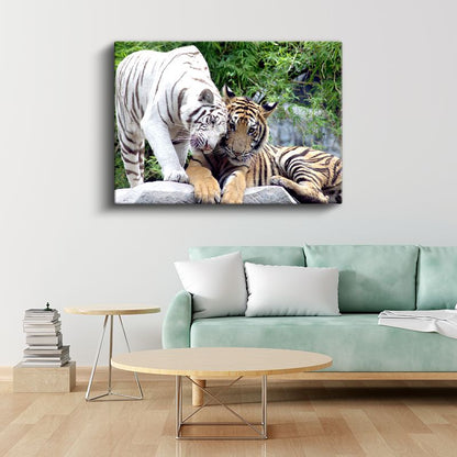 Kaplan Dostluğu - Beyaz ve Turuncu İkili Kanvas Tablo