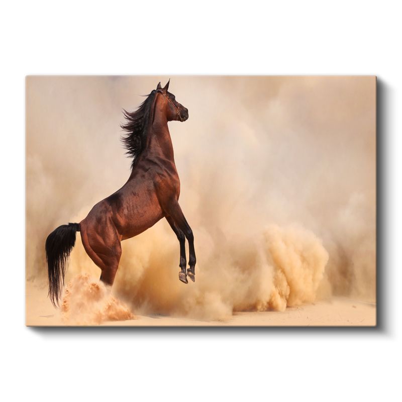 Şaha Kalkan At - Kumda Özgürlük Dansı Kanvas Tablo