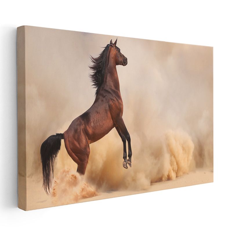Şaha Kalkan At - Kumda Özgürlük Dansı Kanvas Tablo