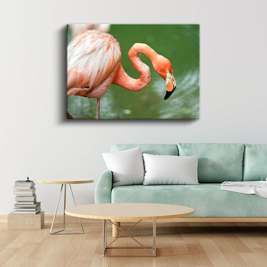 Pembe Flamingo - Zarif Duruşlu Su Kuşu Kanvas Tablo