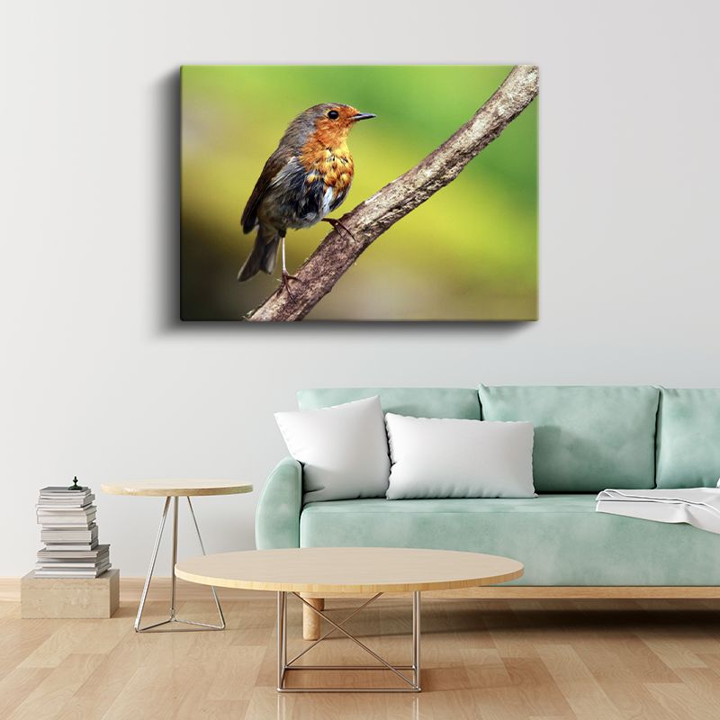 Kızıl Göğüslü Kuş - Dal Üzerinde Zarif Duruş Kanvas Tablo