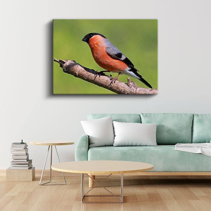 Turuncu İspinoz - Doğal Yaşam Alanında Kuş Portresi Kanvas Tablo