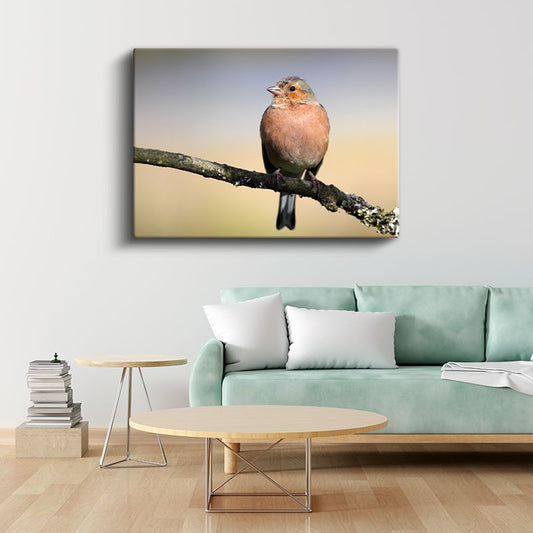Pembe İspinoz - Dal Üzerinde Huzurlu Bekleyiş Kanvas Tablo