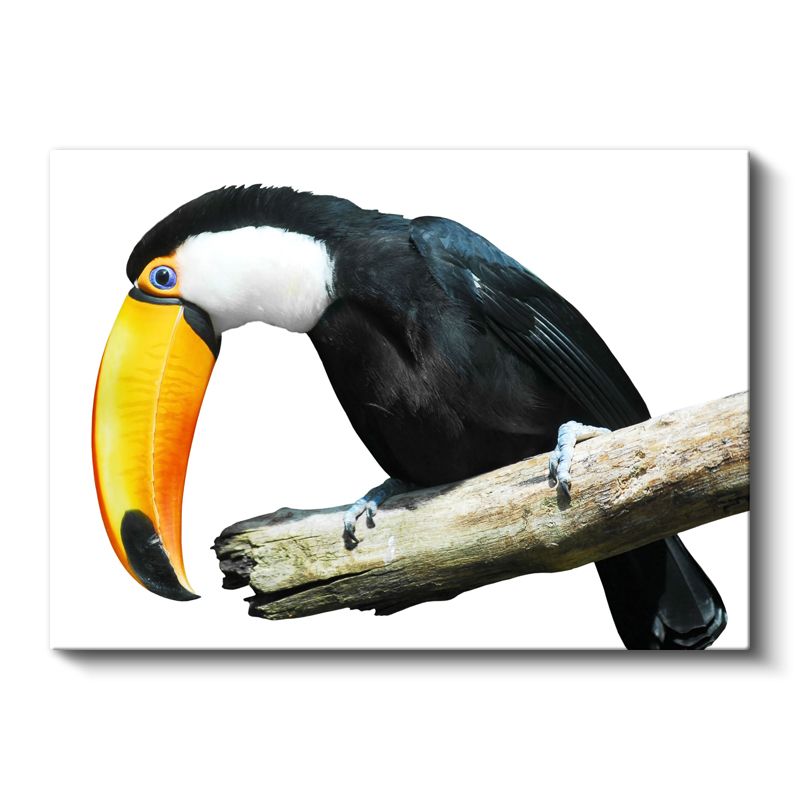 Renkli Tukan - Egzotik Kuş Portresi Kanvas Tablo