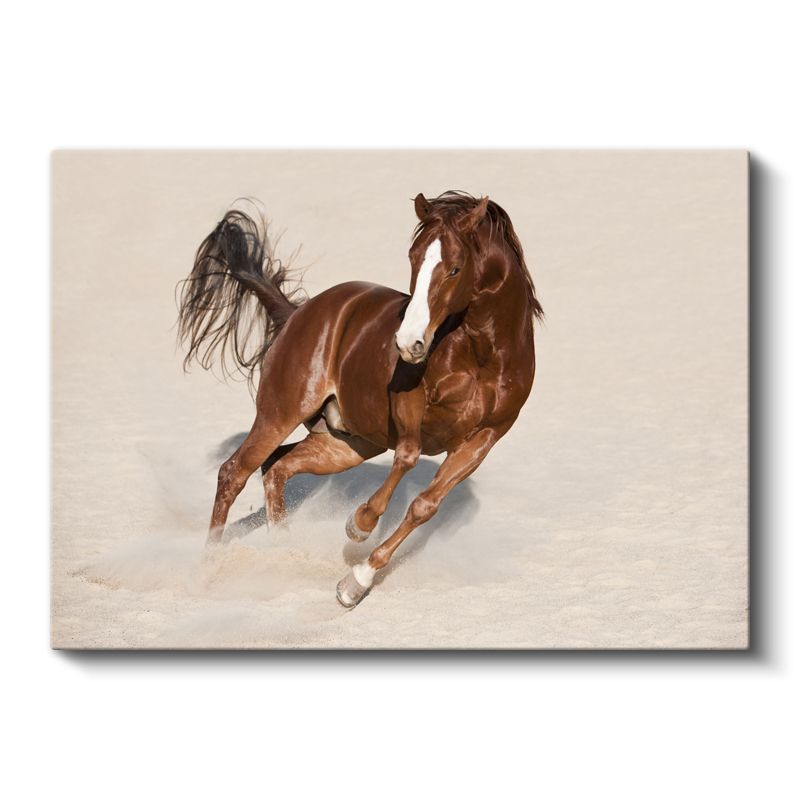 Koşan Arap Atı - Kumda Özgür Ruh Kanvas Tablo