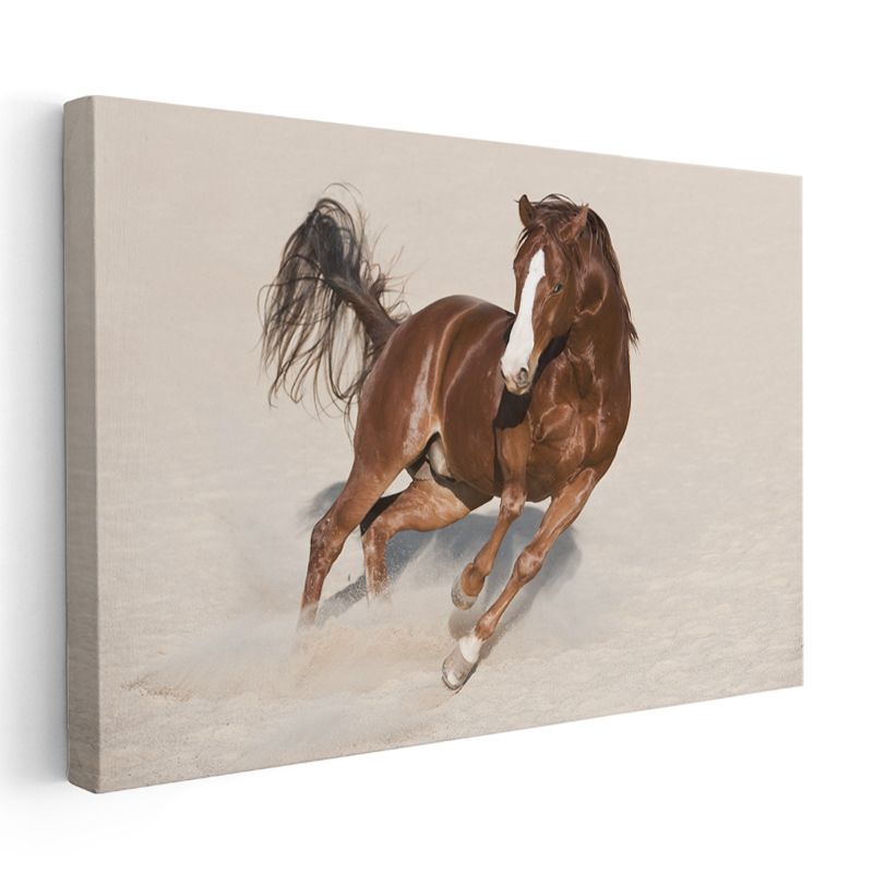 Koşan Arap Atı - Kumda Özgür Ruh Kanvas Tablo