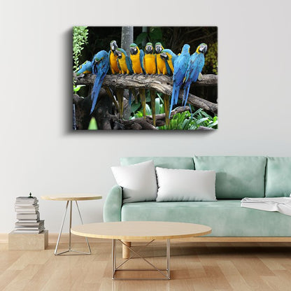 Ara Papağanları - Renkli Tropik Kuşlar Topluluğu Kanvas Tablo