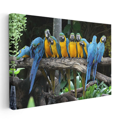 Ara Papağanları - Renkli Tropik Kuşlar Topluluğu Kanvas Tablo