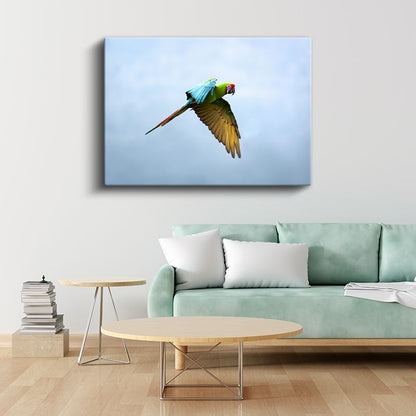 Uçan Papağan - Gökyüzünde Renkli Kanatlar Kanvas Tablo