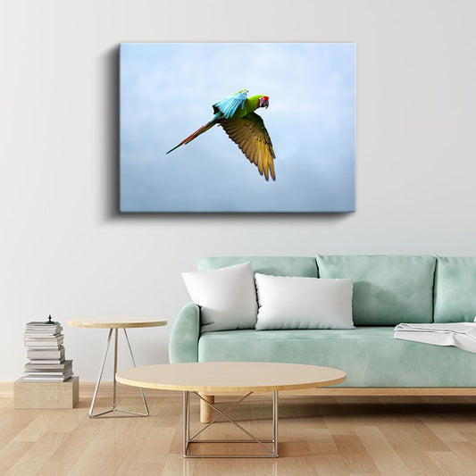 Uçan Papağan - Gökyüzünde Renkli Kanatlar Kanvas Tablo