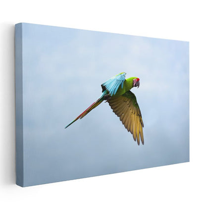 Uçan Papağan - Gökyüzünde Renkli Kanatlar Kanvas Tablo