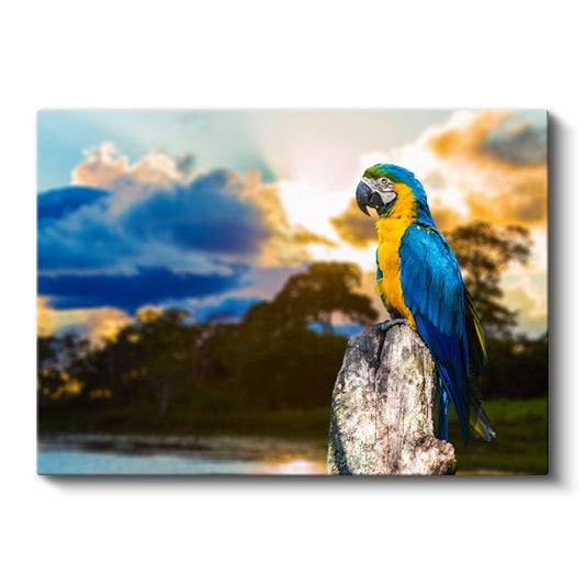 Ara Papağanı - Tropikal Kuş Portresi Kanvas Tablo