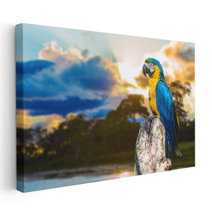 Ara Papağanı - Tropikal Kuş Portresi Kanvas Tablo