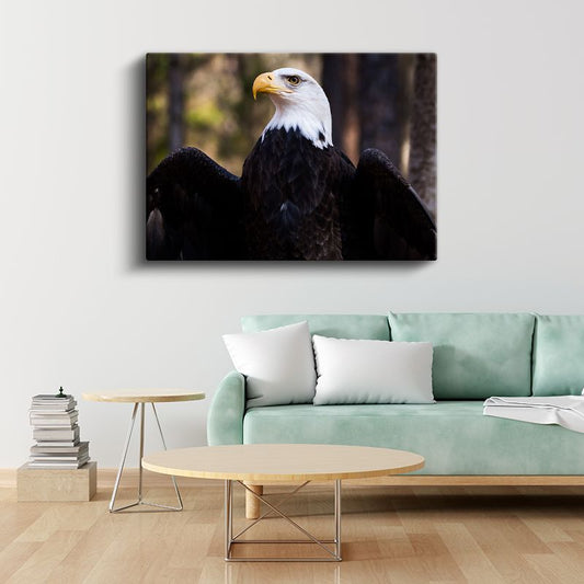Amerikan Kartalı - Heybetli Duruş Kanvas Tablo