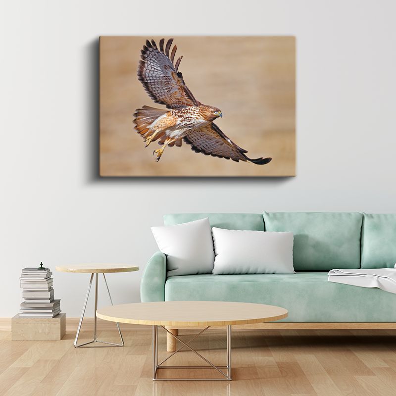 Avcı Şahin - Kanatları Açık Yırtıcı Kuş Kanvas Tablo
