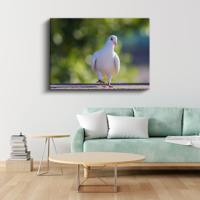 Beyaz Güvercin - Barış Sembolü Kuş Portresi Kanvas Tablo