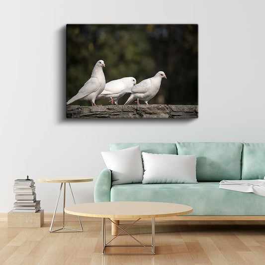 Güvercin Üçlüsü - Beyaz Kuşlar Topluluğu Kanvas Tablo