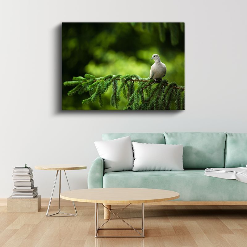 Çam Dalındaki Güvercin - Huzur Veren Beyaz Kuş Kanvas Tablo