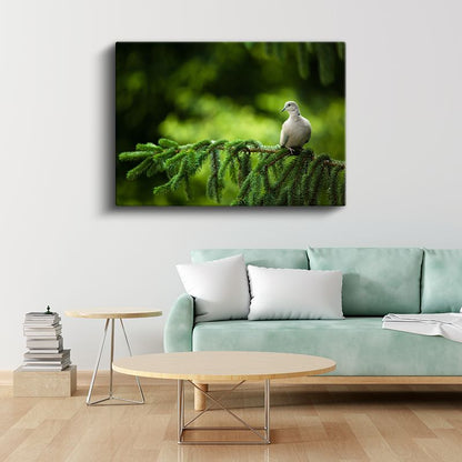 Çam Dalındaki Güvercin - Huzur Veren Beyaz Kuş Kanvas Tablo