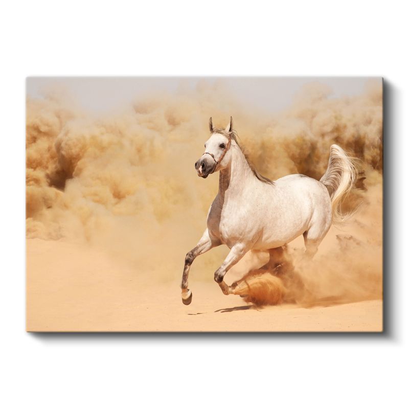 Koşan Arap Atı - Kumda Özgürlük Dansı Kanvas Tablo