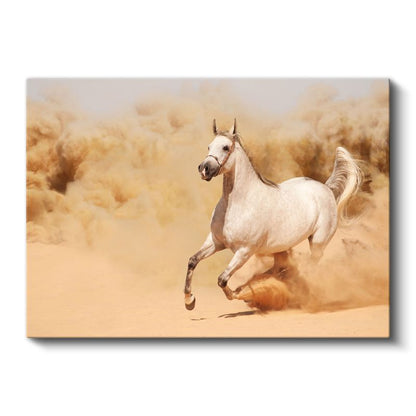Koşan Arap Atı - Kumda Özgürlük Dansı Kanvas Tablo