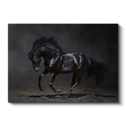 Siyah Aygır - Güçlü ve Asil Duruş Kanvas Tablo