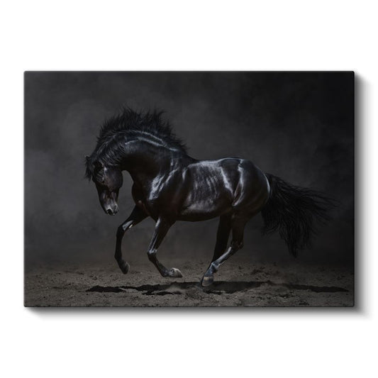 Siyah Aygır - Güçlü ve Asil Duruş Kanvas Tablo