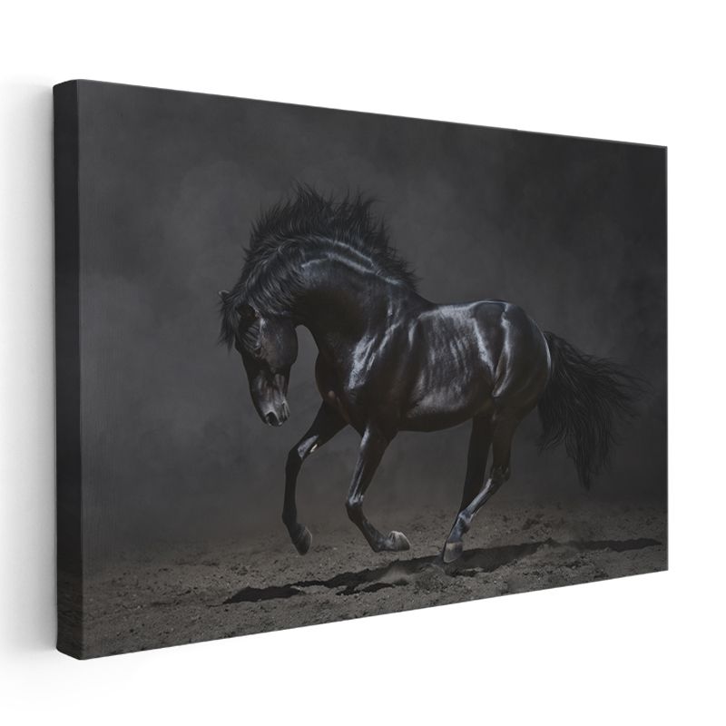 Siyah Aygır - Güçlü ve Asil Duruş Kanvas Tablo