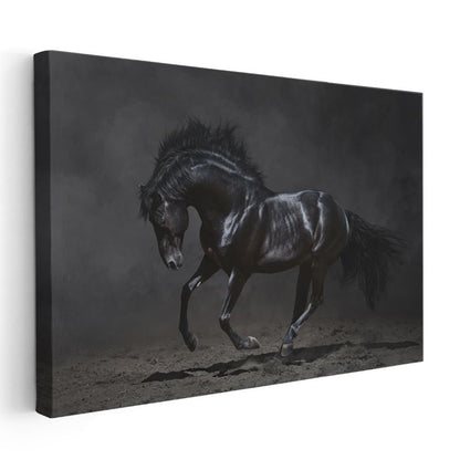 Siyah Aygır - Güçlü ve Asil Duruş Kanvas Tablo