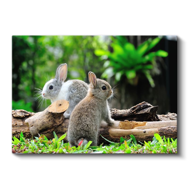 Sevimli Tavşan İkilisi - Doğal Yaşam Alanında Kanvas Tablo