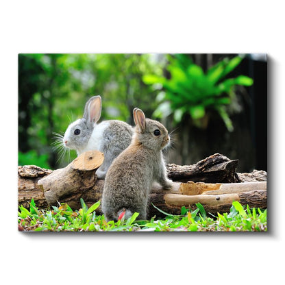 Sevimli Tavşan İkilisi - Doğal Yaşam Alanında Kanvas Tablo